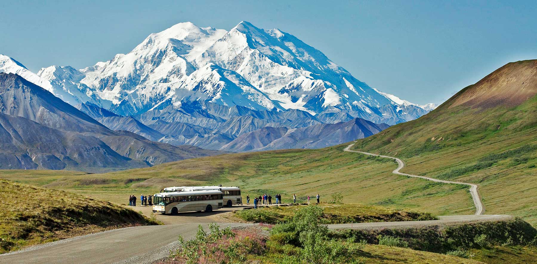 denali national park bus
