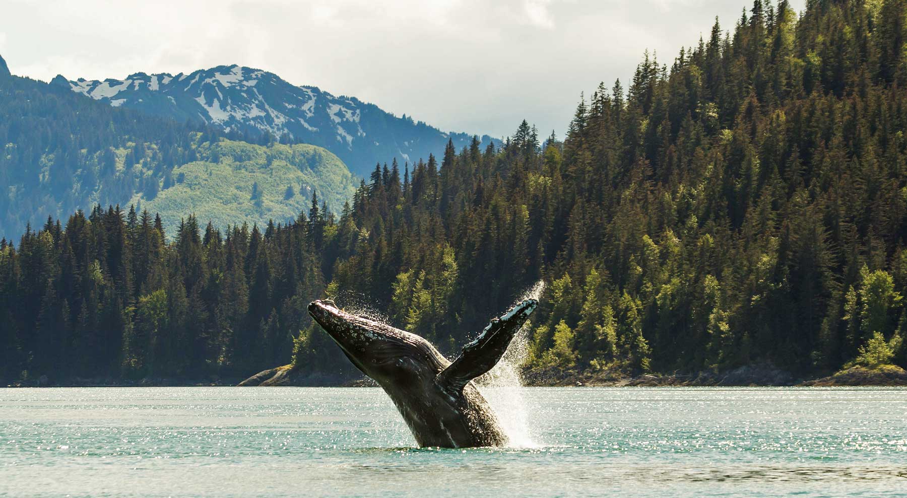 glacier bay national park alaska