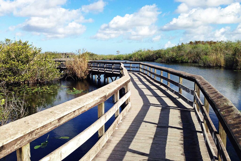 anhinga trail everglades national park florida