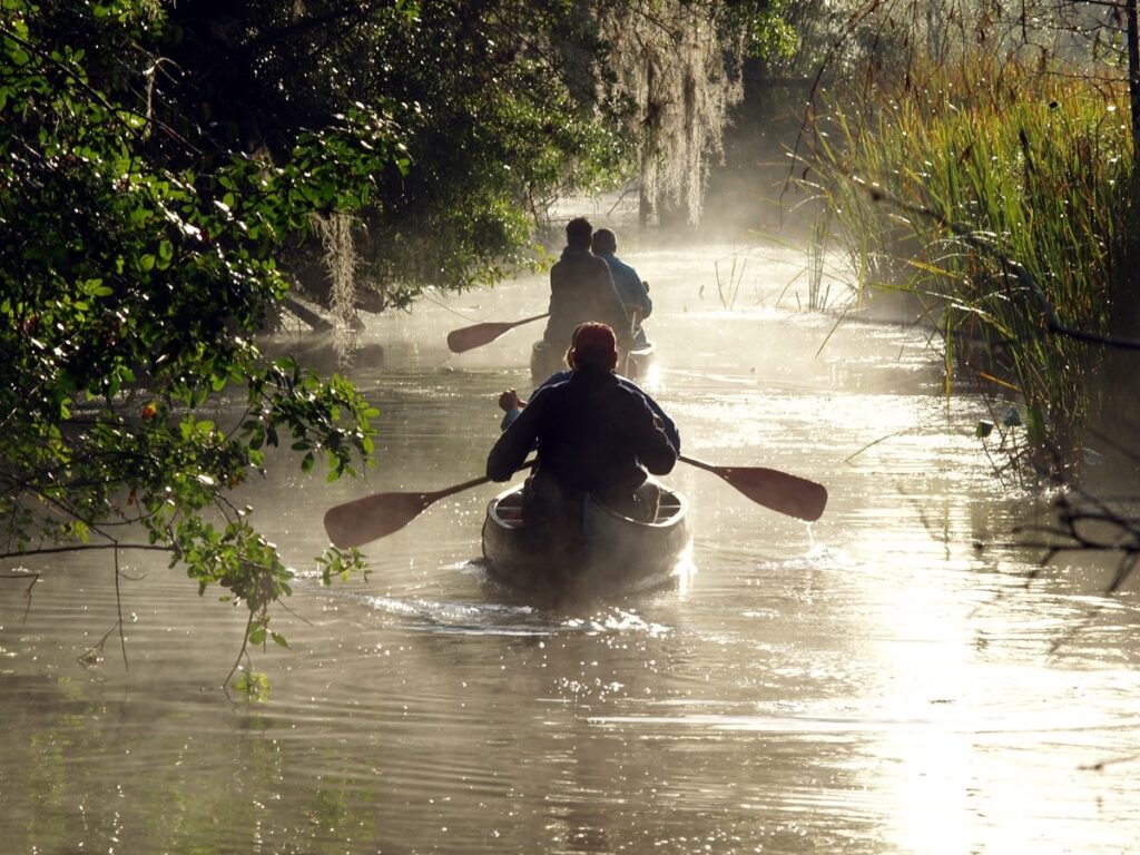 big cypress national preserve florida