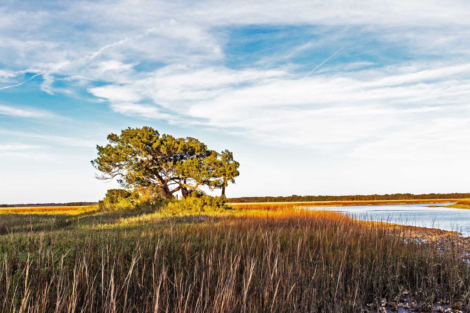 Timucuan Ecological & Historic Preserve florida