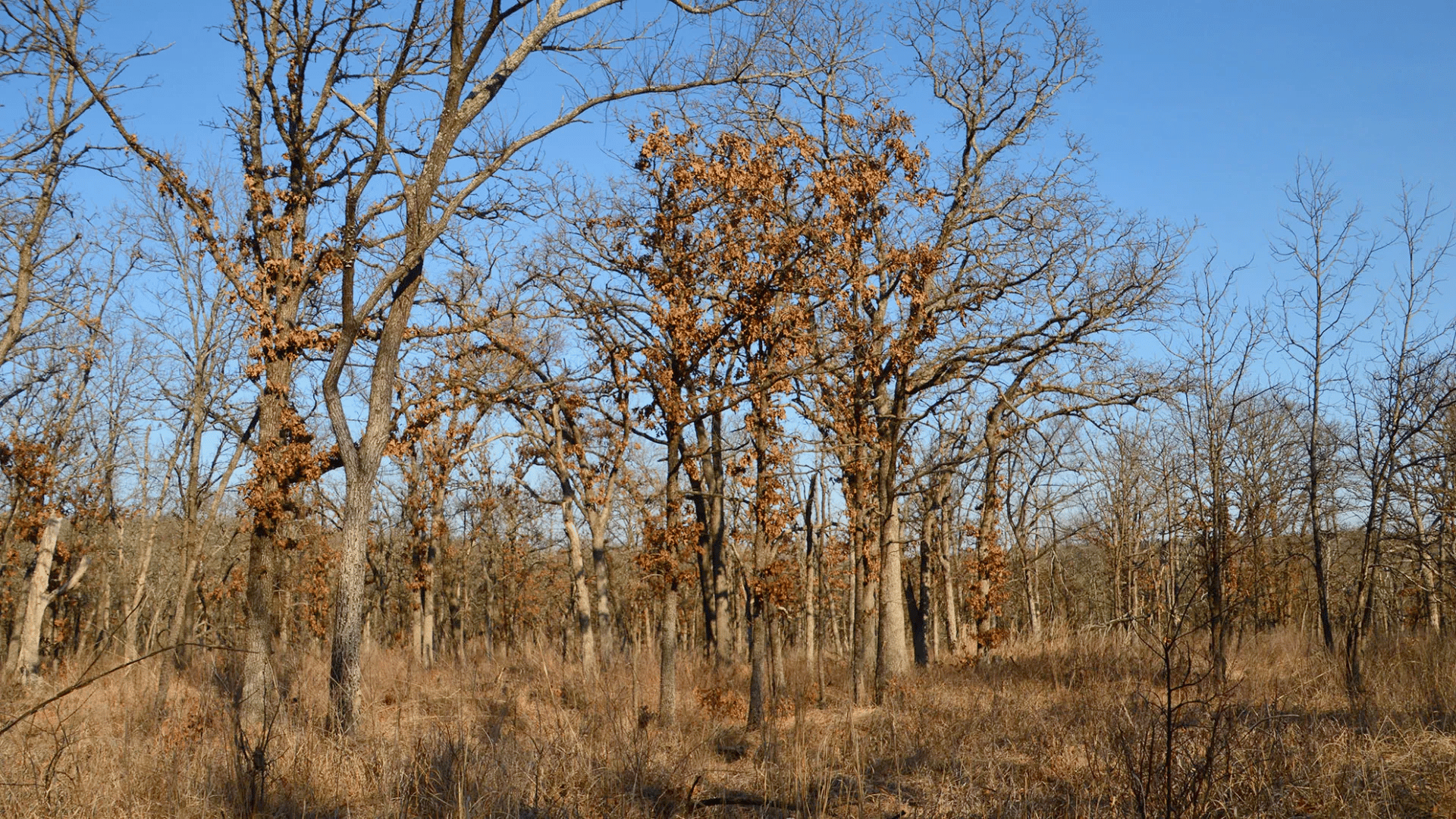 Oklahoma National Parks